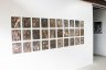 Lemen prints installation, BigCi Open Day 27 Nov 2016 - Bush tucker of the Blue Mountains, 30 lumen prints, unique silver gelatin 8x10